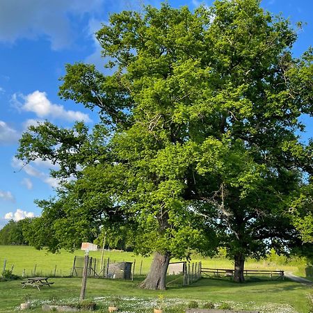 Masoe Des Chatards Neuilly-le-Réal エクステリア 写真