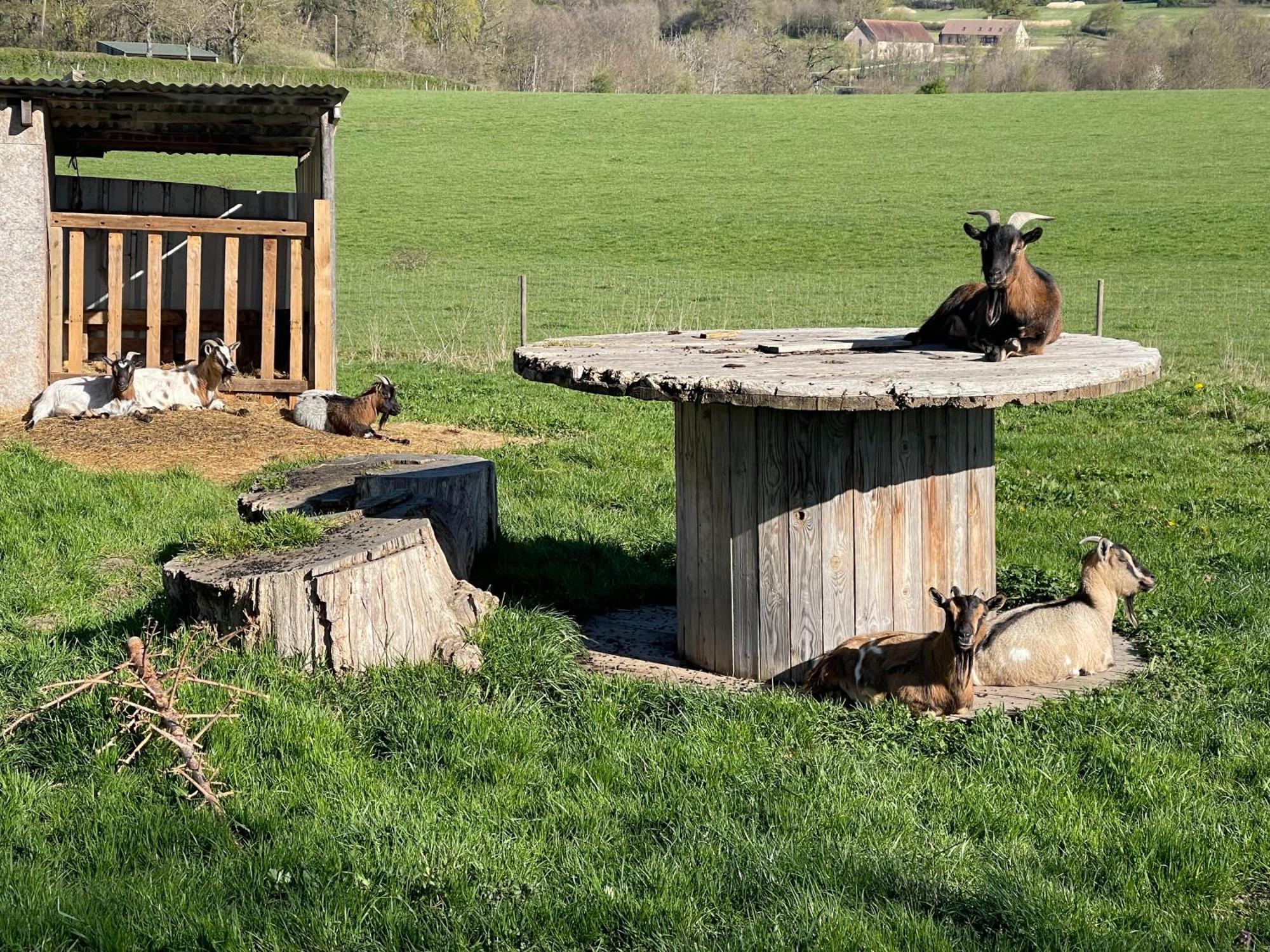 Masoe Des Chatards Neuilly-le-Réal エクステリア 写真