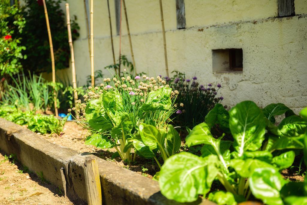 Masoe Des Chatards Neuilly-le-Réal エクステリア 写真